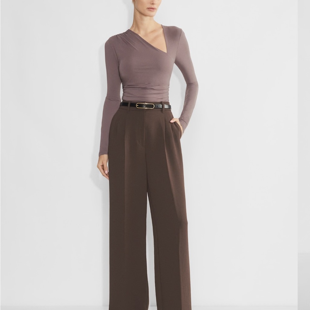 Aritzia Brown Wide Leg Trousers with High Waist and Tailored Pleats